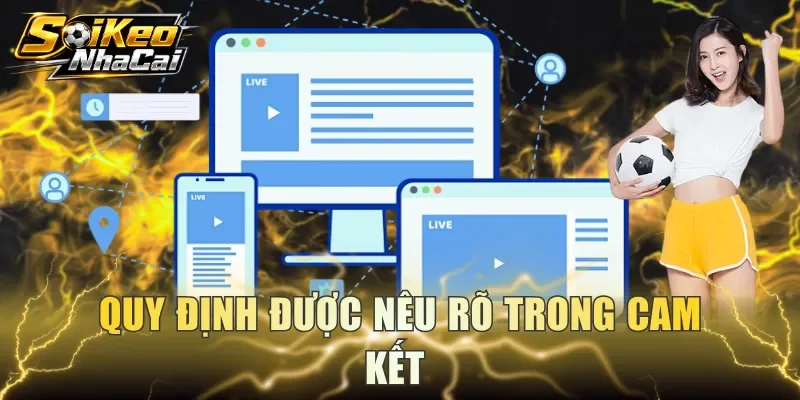 Quy định được nêu rõ trong cam kết